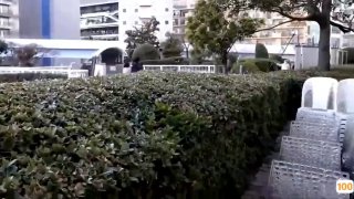 蒋文旭贺知书后入90后